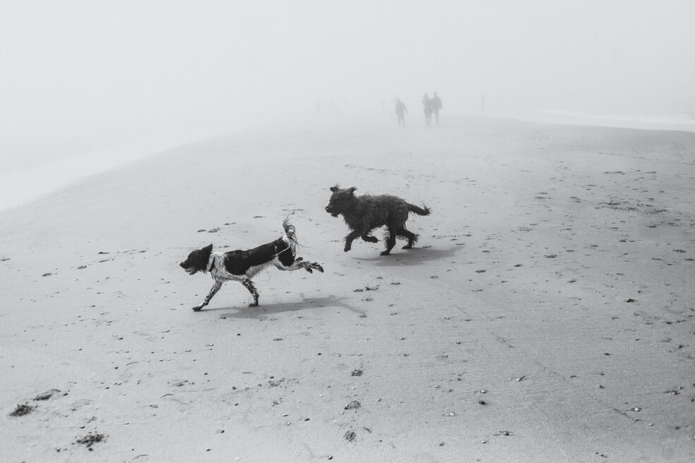 An der Nordsee